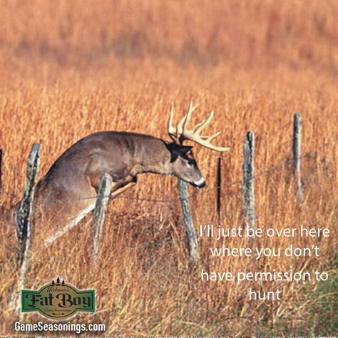 🦆🐗🐟🐏🦌🦃🦖 #pewpew #getinmybelly #hunting #fishing #outdoors #hunter #farming #ranching #wildgame #wildgamerub #bowhunter #wildlife #hunters #friends #shooting #yum #venison #fish #fatboygameseasonings #snacksticks #jerky #summersausage #whitetailfix Deer Hunting Memes Humor, Deer Hunting Memes, Deer Hunting Humor, Hunting Jokes, Hunting Humor, Deer Hunters, Wild Game, Deer Hunting, Hunting Fishing