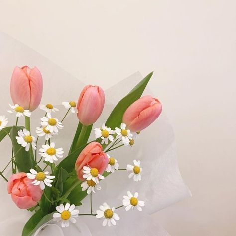 Pink Tulips Bouquet, Daisy Bouquet, Color Pallete, Editing Tips, Bouquet Gift, Tulip Bouquet, Aesthetic Flowers, Flowers Bouquet Gift, Ig Feed