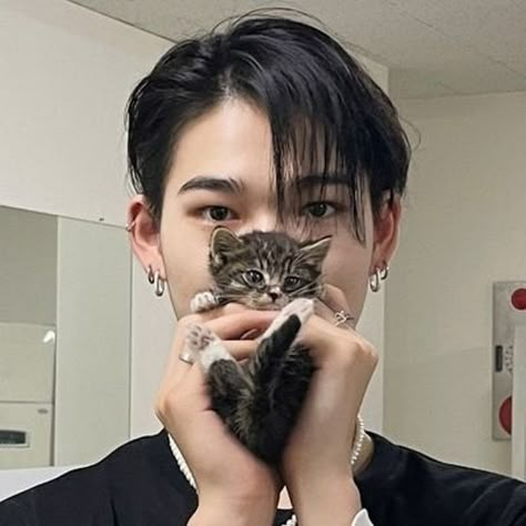 Niki Cat Enhypen, Enhypen Niki Icon Cute, Niki With Cat, Enphyen Niki, Niki Cat, Enhypen Niki Cute, Nishimura Riki Boyfriend Material, Niki Enhypen Boyfriend Material Icon, Niki Aesthetic Icon