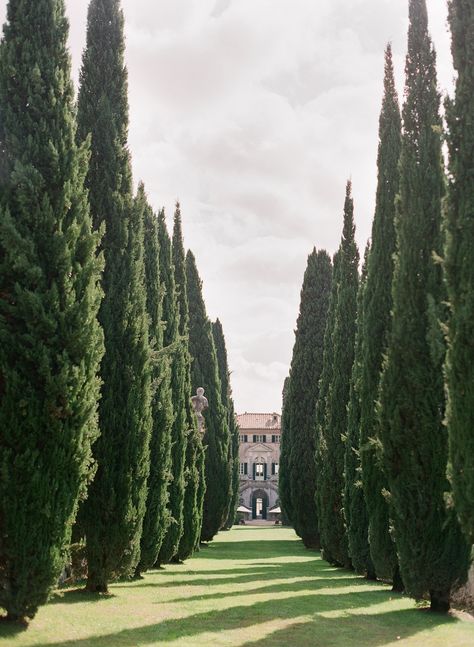 Tuscany Trees, Villa Cetinale, Europe Landscape, Luxury Italy, Wedding In Tuscany, Italian Garden, Dream Places, Victorian Architecture, Destination Wedding Venues