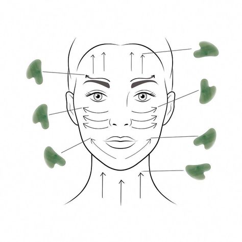 The Jade Gua Sha is your go-to tool to assist in contouring and sculpting the face while enhancing the penetration and effectiveness of your skincare.  With daily use, our sustainably harvested Jade Gua Sha can help reduce fine lines, stimulate collagen, encourage lymphatic drainage, decrease puffiness and enhance skin Jade Gua Sha, Facial Routine Skincare, Facial Routines, Facial Contouring, Basic Skin Care Routine, Facial Skin Care Routine, Face Massage, Facial Massage, روتين العناية بالبشرة