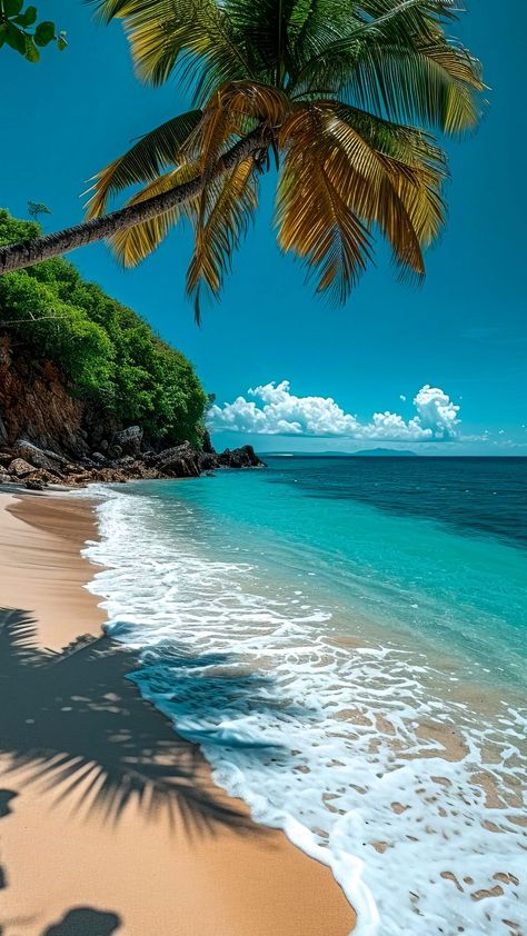 free wallpapers 4K beach, sea, palm tree, island, nature for mobile and desktop Wallpapers Beach, Lovely Scenery, Relaxing Photos, Summer Beach Wallpaper, Beautiful Beaches Paradise, Summer Beach Pictures, Sea Watercolor, Iphone Wallpaper Landscape, Beautiful Ocean Pictures