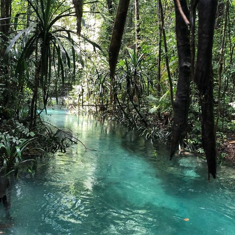 Kali Biru River (Raja Ampat) - All You Need to Know BEFORE You Go Raja Ampat Aesthetic, Kali Biru, Travel Girl Aesthetic, Travel Aesthetic Beach, Travel Aesthetic Outfits, Travel Wallpapers, Travel With Friends, Travel Love Quotes, River Hotel