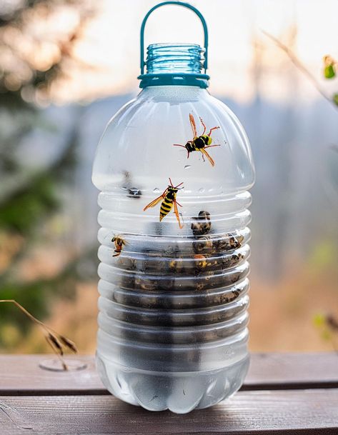 Homemade Wasp Trap, Wasp Traps, Empty Plastic Bottles, Vinegar Cleaning, Wasp, Silica Gel, For The Home, Plastic Bottles