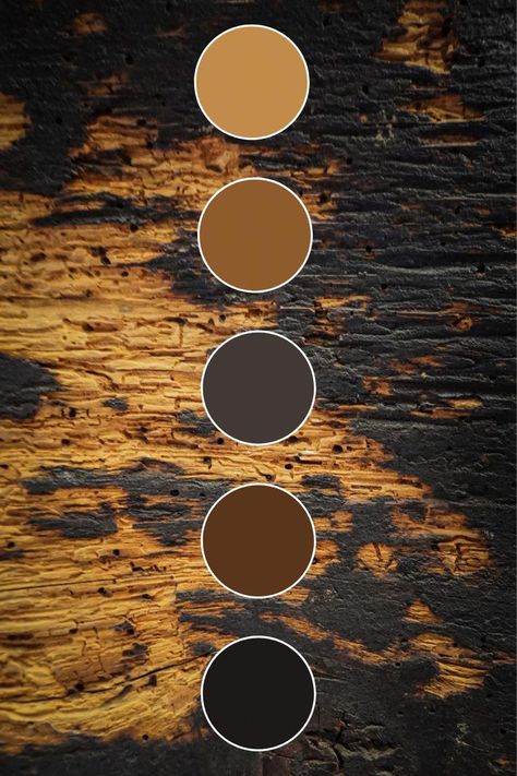 Orange Brown Grey Color Palette, Black Brown Gold Color Palette, Rust And Black Color Palette, Black And Brown Palette, Black White Grey Brown Color Palette, Black Wood Color Palette, Bourbon Color Palette, Black White Gold Brown Color Scheme, Beige And Gold Color Palette