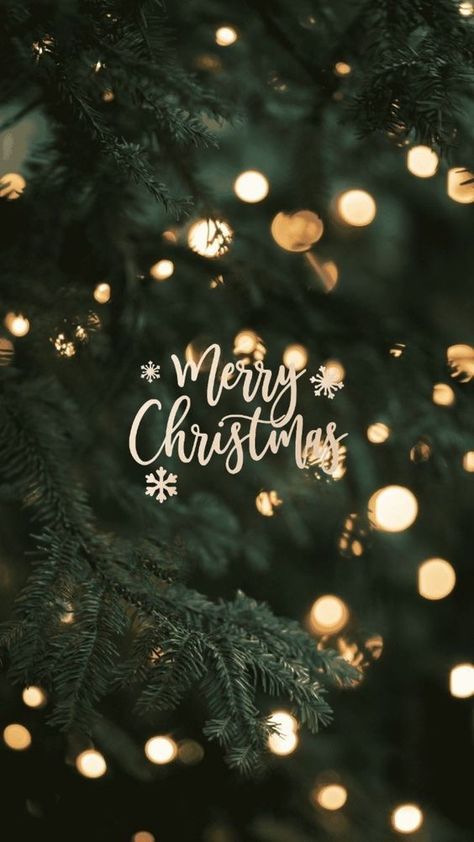 Christmas Eve Images, Christmas Greetings Quotes, Christmas Tree Background, Fashion Tumblr, Merry Christmas Wallpaper, Merry Christmas Pictures, Happy Merry Christmas, Christmas Phone Wallpaper, Merry Christmas Images