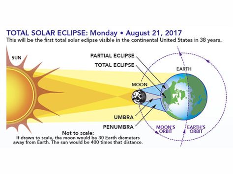 Solar Eclipse 2017 RI Parties: What You Need To Know, Times & Locations Lunar Eclipse Diagram, Eclipse Facts, Solar Eclipse Activity, Earth Sun And Moon, Solar And Lunar Eclipse, Partial Eclipse, Solar Eclipse 2017, Eclipse Solar, Parts Of The Earth