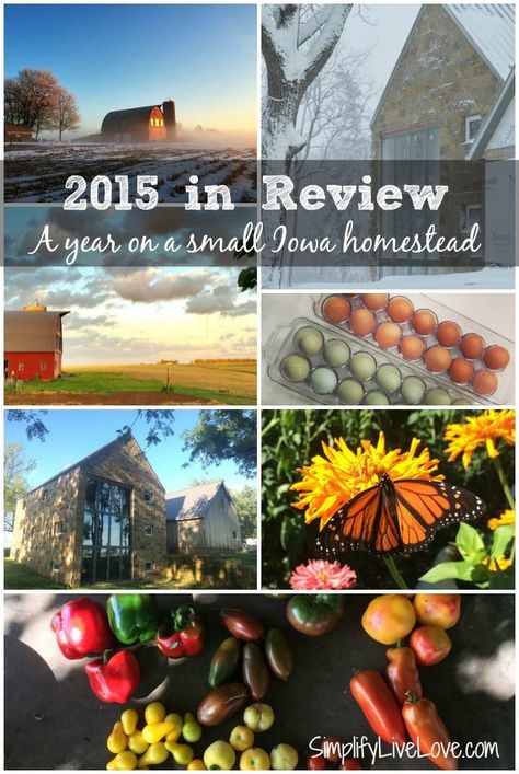 Our Year on a 5 Acre Iowa Homestead. Big things happened on this little homestead in 2015. Get inspired to make sustainable changes in 2016. Iowa Homestead, Homestead Hacks, Barn Restoration, Growing Garlic, Companion Plants, Attracting Beneficial Insects, Urban Homesteading, Small Space Organization, Budget Organization