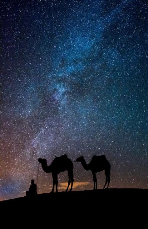 Desert Aesthetic, Desert Photography, Desert Travel, Sahara Desert, Destination Voyage, Arabian Nights, The Night Sky, Milky Way, Beautiful Destinations