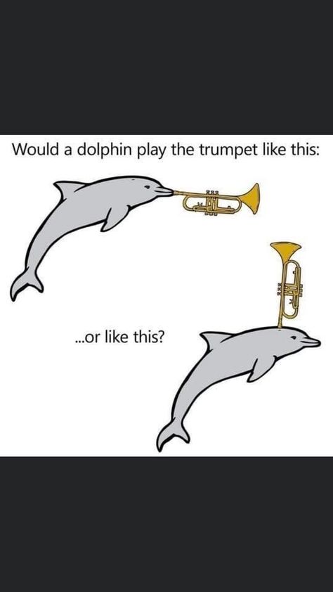 The Cheese Stick Hath Returned, Funny Music Memes Hilarious, Trumpet Memes Funny, Trumpet Videos, Flute Memes Funny, Music Jokes Funny, Bassoon Memes, Band Memes Funny So True, Clarinet Jokes