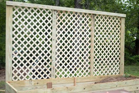 Privacy Screen Planter, Diy Garden Beds, Privacy Screen Outdoor Diy, Trellis Screen, Lattice Privacy Screen, Diy Wood Planters, Privacy Planter, Diy Privacy Screen, Small Pergola