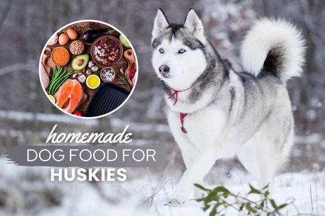 Husky Food Recipes, Dog Food Delivery, Cook Dog Food, Make Dog Food, Husky Puppies, Ground Sirloin, Cooking Homemade, Raw Dog Food Recipes, Dog Nutrition