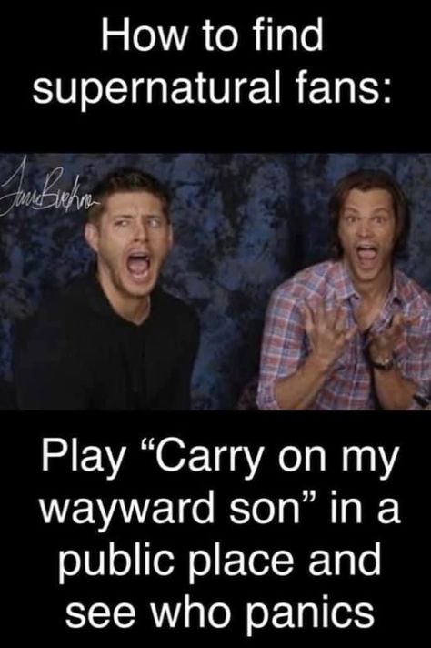 Supernatural Memes Funny Hilarious, Supernatural Memes Funny, Supernatural Jokes, Supernatural Memes, Supernatural Fans, Supernatural, Funny Memes, Memes, Funny