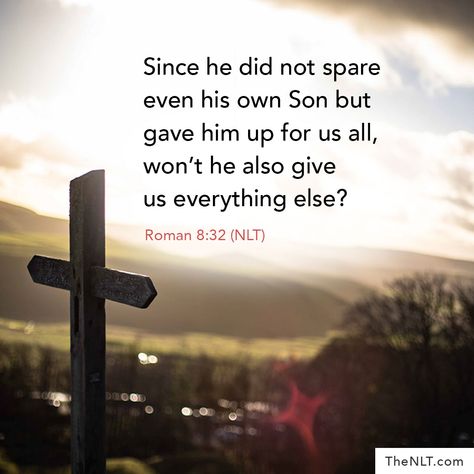 "Since he did not spare even his own Son but gave him up for us all, won’t he also give us everything else?" Romans 8:32, NLT  #ReadingTheNLT #PaulsLetter #Sacrifice #AllOfUs #Gift Romans 8 32, Max Lucado, God's Promises, Romans 8, Gods Promises, New Hope, Art Activities, Holy Bible, Words Of Encouragement