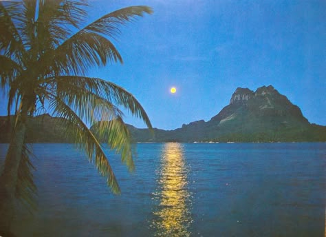 Vintage Hawaii Photos, Tropical Beach Aesthetic, Aesthetic Sky Pictures, Aesthetic Tropical, Tropical Aesthetic, Tropical Ocean, Vintage Tropical, Vintage Hawaii, Island Style