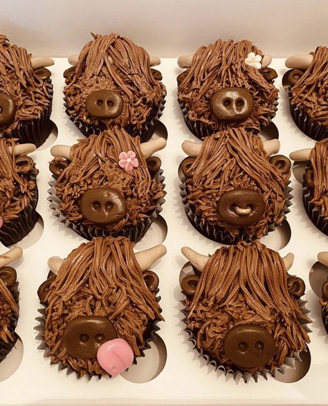 Bull Cupcakes Ideas, Bison Cupcakes, Highland Cow Cupcake Cake, Hiland Cow Cupcakes, Fluffy Cow Cupcakes, Highlander Cupcakes, Cute Cow Cupcakes, High Land Cow Cake, Highland Cupcakes