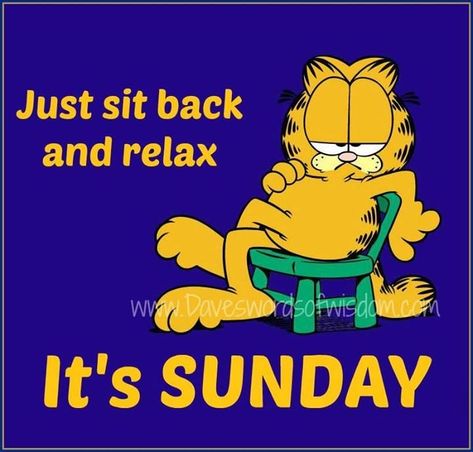 Relax it's Sunday quotes quote garfield days of the week sunday sunday quotes happy sunday happy sunday quotes Garfield Quotes, Its Sunday, Sunday Humor, Garfield Pictures, Garfield The Cat, Garfield Christmas, Sunday Pictures, Garfield Cartoon, Garfield Comics