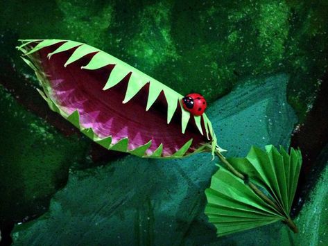 Vbs Jungle Journey Crafts, Paper Venus Fly Trap, Garden Of Eden Vbs Decorations, Aig Vbs Jungle Journey, Rainforest Vbs Decorations, Diy Jungle Animals, The Great Jungle Journey Vbs 2024 Crafts, Jungle Vbs Decorations Rainforest Theme, Jungle Journey Vbs 2024 Crafts