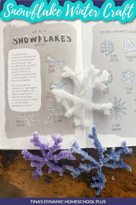 Easy Hands on Snowflake Winter Craft for Kids Who Don’t Have Snow Winter Homeschool, Curriculum Planner, Jasmine Party, Snowflake Craft, Simple Snowflake, Homeschool Crafts, Winter Craft, Snowflake Shape, Snow Ice