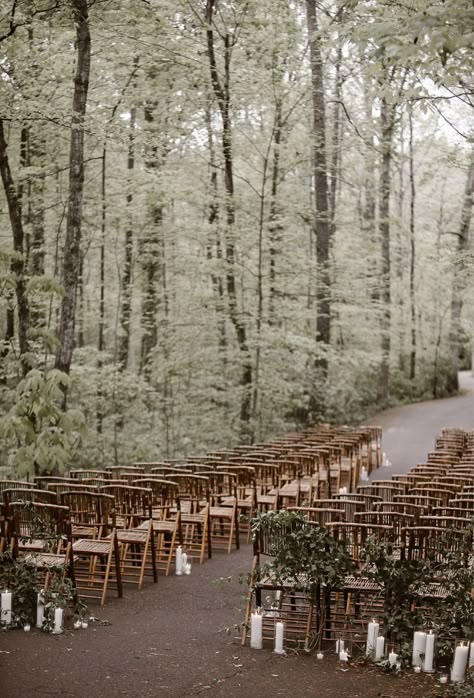 Stunning Woodland Wedding in Great Smoky Mountain National Park. Wedding Venues Outdoor Forest, Wedding Forest Ceremony, Wedding In The Forest Outdoor Ceremony, Wedding Ceremony Forest, Wedding Venue Forest, Rt Lodge, Forest Wedding Ceremony, Forest Weddings, Wedding Ceremony Setup