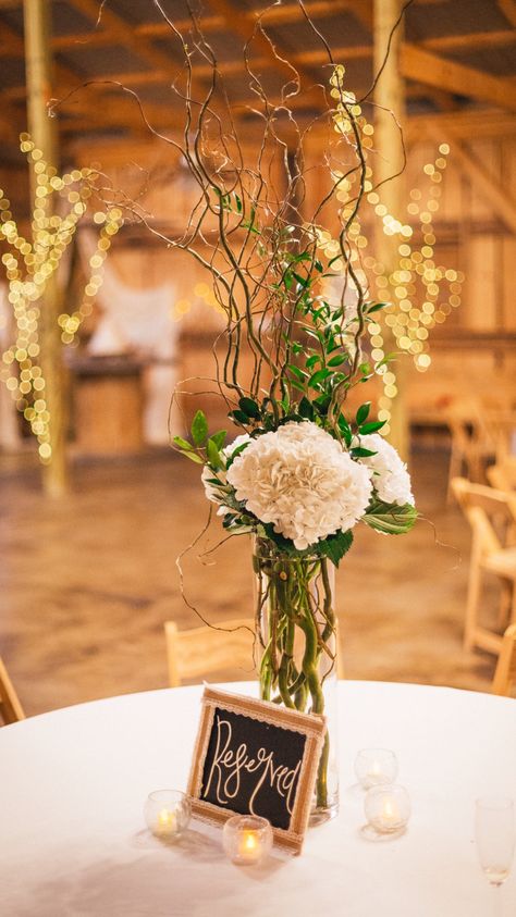 Hydrangeas and curly willow branches centerpiece  #barnweddings #reservedtables Branch Centerpieces Wedding Winter, Willow Table Decorations, Cattail Centerpieces Wedding, Farmhouse Centerpiece Ideas Dining Room, Rustic Wedding Floral Arrangements, Simple Hydrangea Centerpiece, Willow Branch Centerpiece, Grand Vase Deco, Hydrangea Centerpiece Diy