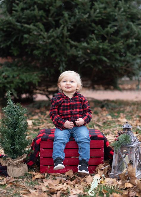 Outdoor Holiday Mini Sessions, Christmas Field Pictures, Christmas Family Picture Ideas Outdoor, Outdoor Kids Christmas Pictures, Cute Toddler Christmas Pictures, Toddler Baby Christmas Photos, Outdoor Photoshoot Props Ideas, Christmas Forest Photoshoot, Outdoor Christmas Pictures Kids