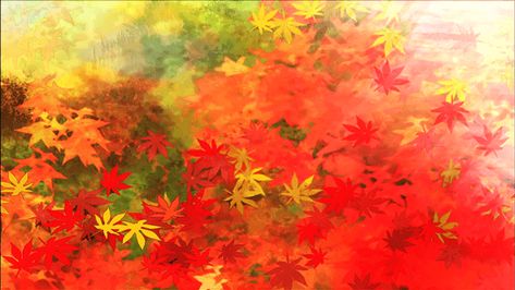 Gugure! Kokkuri-san: Red Maple Tree | Kureha's Days Spent Waiting in Vain! Maple Leaf Banner Discord, Kazuha Aesthetic, Pfp Backgrounds, Pretty Banner, Orange Pfp, Orange Banner, Notion Library, Green Maple Leaf, Falling Gif