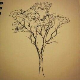 Gum Tree Tattoo, Tree Doodles, Floral Back Tattoos, Australian Nature, Drawing Trees, How To Draw Realistic, Tree Doodle, Gum Tree, Draw Realistic