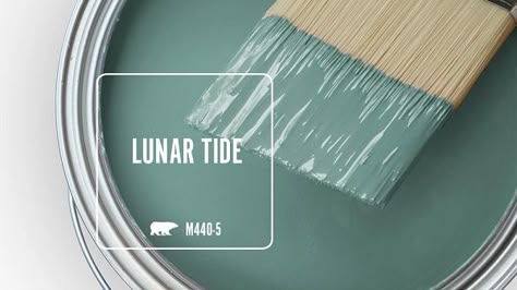 Dusty Teal Paint Color Behr, Behr Jewel Tone Paint Colors, Behr Teal Paint Colors, Behr Blue Green Paint Colors, Behr Dark Green Paint Colors, Beach Paint Colors, Teal Paint Colors, Lunar Tide, Painting Trim White