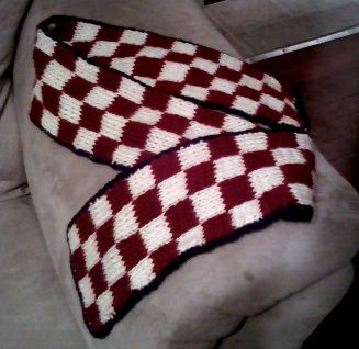 Soft Autumn Red, Double Knitting Patterns, Color Checker, Checkered Scarf, Knitting Patterns Free Scarf, Caron Simply Soft, Cute Scarfs, Knitting Instructions, Soft Autumn