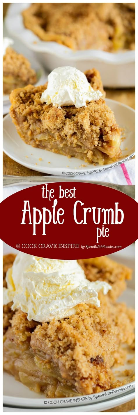 The BEST Apple Crumb Pie! This is truly the best apple pie recipe you'll ever make! Loaded with fresh tart apples and topped with a sweet brown sugar crumble, this is one recipe that will be requested over and over! Dutch Apple Pie Recipe, Dessert Thanksgiving, Apple Crumb Pie, Tårta Design, Crumb Pie, Dutch Apple Pie, Apple Crumb, Best Apple Pie, Dutch Apple