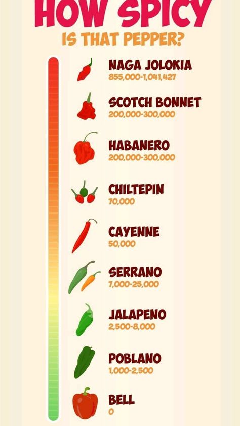 The Scoville Scale of Hotness infographic | Cooking tips, Stuffed peppers, Cooking basics Pepper Scale, Chili Pepper Sauce, Quick Sandwiches, Spice Mix Recipes, Cooking Measurements, Amazing Food Art, Hot Pepper Sauce, Scotch Bonnet, Homemade Chili