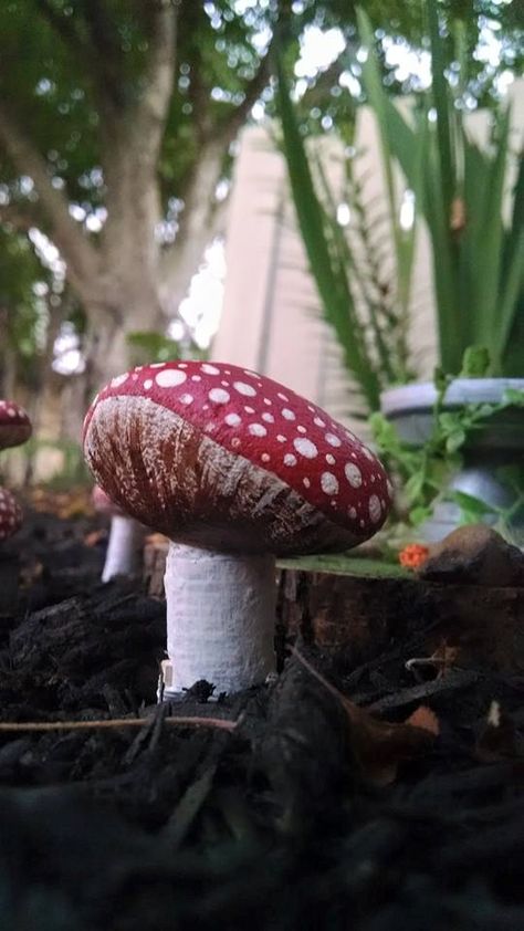 FAIRY MUSHROOM! Painted rock on painted wood stem Fairy Mushroom, Stone Paint, Bed Art, Rocks Painted, Drift Wood, Rock On, Flower Bed, Painted Rock, Painted Wood