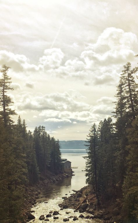 Lake Almanor, Dream Cabin, Lake Camping, Camping Inspiration, Camping Spots, California Photography, California Dreaming, Camping Experience, Water Activities