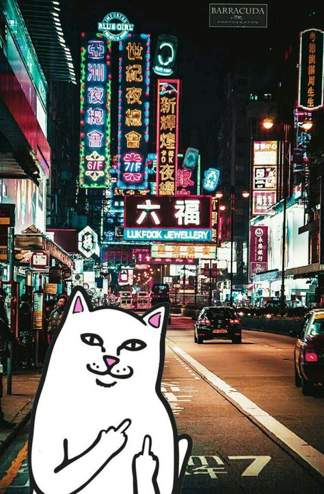 #ripndip #middle #finger #cat #wallpaper #iphone #hongkong Asian City, Hong Kong Night, Night Street, Tall Buildings, Hong Kong Travel, Neon Aesthetic, Las Vegas Hotels, City Street, Bhutan