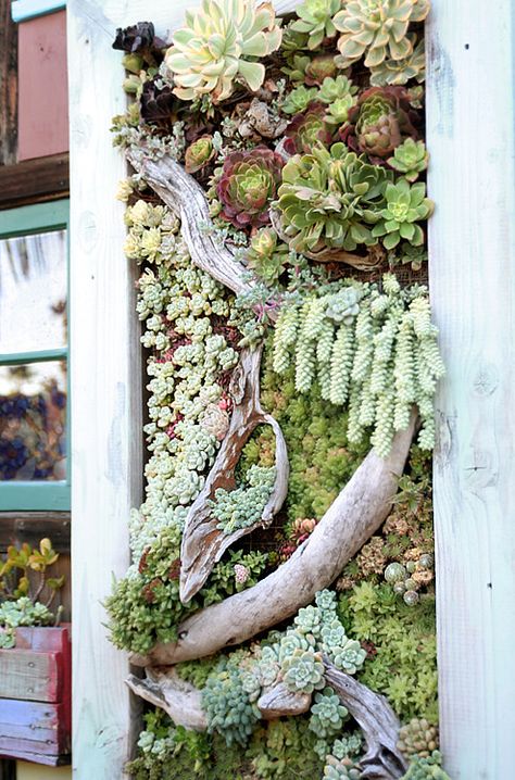 Succulent Containers, Vertical Succulent Gardens, Vertical Garden Design, Vertical Vegetable Garden, Container Garden Design, Succulent Garden Design, Succulent Wall Art, Vertical Herb Garden, Vertical Garden Wall