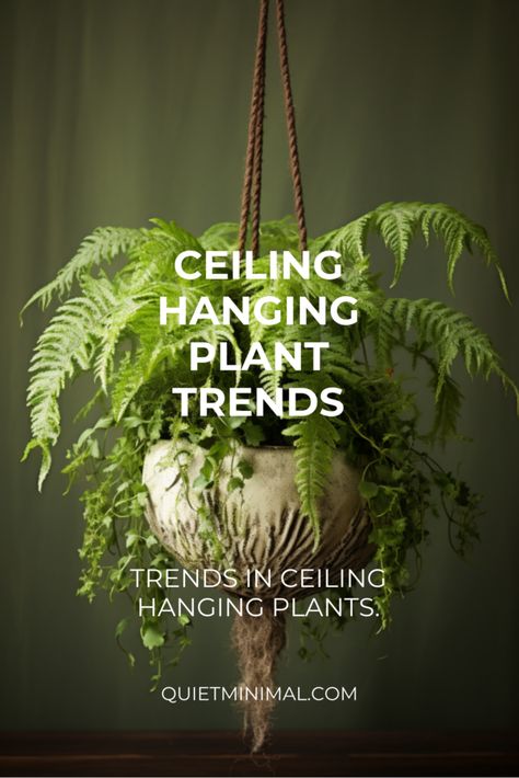 Add elegance to your ceiling decor with hanging plants. Our guide features the best plants and styling ideas. #ElegantPlants #CeilingDecor #IndoorGreenery #PlantCare Hanging Plants Interior Design, Hanging Candle Holder From Ceiling, Hanging Plants Indoor Living Rooms, Plant Window Display, Hanging Plant Ideas, Hanging Potted Plants, Indoor Hanging Plants, Hanging Indoor Plants, Hanging Ferns