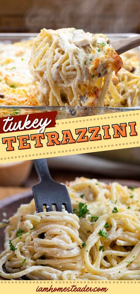 Out of family dinner ideas this weekend? Try this Turkey Tetrazzini! This easy comfort food recipe starts with leftover turkey mixed with a creamy sauce and mozzarella cheese. Save this pin! Turkey Leftover Recipes Easy Dinners, Turkey Tetrazzini Recipe Easy, Leftover Turkey Recipes Easy, Turkey Casserole Recipes, Turkey Leftover Recipes, Turkey Tetrazzini Recipe, Turkey Casserole Recipes Leftover, Turkey Casserole Recipe, Easy Turkey Recipes