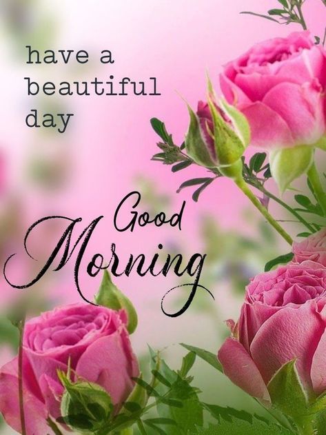 Good Morning Wishes Friends, Good Morning Inspiration, Good Morning Nature, Good Morning Flowers Quotes, Good Morning Beautiful Flowers, Good Morning Roses, Good Morning Flowers Pictures, Good Morning Beautiful Pictures, Good Morning Flowers Gif