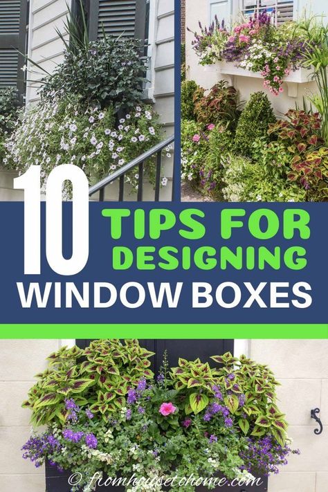 These Charleston window boxes use beautiful shade and sun plants to add great curb appeal to the front yard garden.  Get inspiration from their window box ideas to design gorgeous flower box plant combinations for your own home. #fromhousetohome #flowerboxes #garden #plants  #containers #containergardening Flower Box Ideas, Green Mountain Boxwood, Window Box Ideas, Flower Combinations, Impatiens Plant, Window Box Plants, Coral Bells Heuchera, Box Flowers, Window Box Flowers