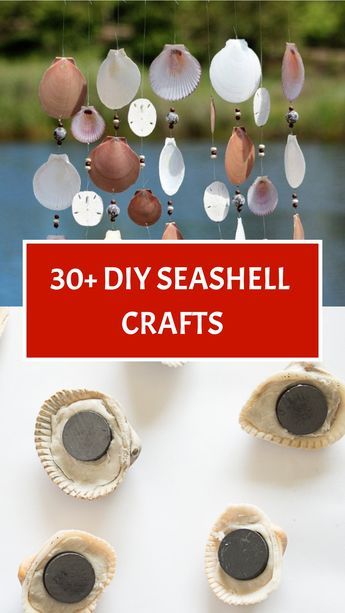 Dive into a world of creativity with 32 DIY Seashell Crafts that capture the essence of summer! Create seashell mirrors, seashell garlands, or even seashell mobiles. Let the beauty of seashells inspire you as you bring the coastal charm into your home with these handmade crafts. #SeashellCrafts #DIYIdeas #SummerDecor #BeachInspired What To Do With Shells From Vacation, Decorating With Sea Shells, Shell Keepsake Ideas, Large Seashell Crafts, See Shell Art, Diy With Shells Ideas, Diy Shells Crafts Decor, Whelk Shell Crafts, Sea Shells Crafts Ideas