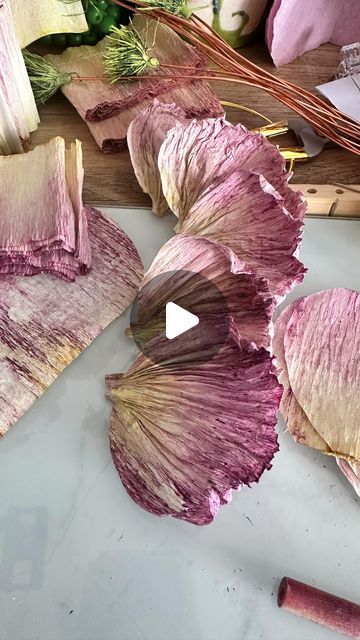 black_tree_designs on January 25, 2024: "|SOUND ON| One of the many reasons my go-to crepe paper is @cartotecnicarossi 180gm. This paper ..." How To Dye Crepe Paper, Large Crepe Paper Flowers Diy, Giant Tissue Paper Flowers Diy, Crepe Flowers Diy, Giant Crepe Paper Flowers Diy, Paper Crepe Flowers, Large Crepe Paper Flowers, Make Large Paper Flowers, Crepe Paper Art