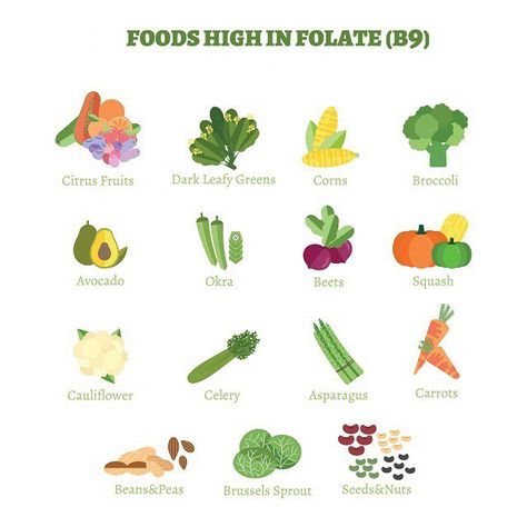 Foods High In Folate, Fertility Diet Plan, Folate Rich Foods, Folate Foods, Mthfr Gene Mutation, Rich Recipes, Mthfr Gene, Healthy Balanced Diet, Fertility Diet