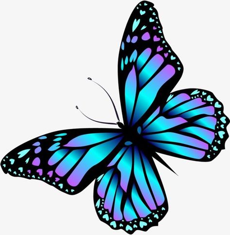 5 Ultimate Steps To Draw A Beautiful Butterfly Drawing - Easy drawing club #butterflydrawing #butterflydrawingeasy #butterflydrawingsimple #butterflydrawingeasystepbystep #butterflydrawingpencil #butterflydrawingcolorful #butterflydrawingaesthetic #butterflydrawingtattoo #butterfly # drawing #art #animaldrawing #drawingideas #drawingideascreative #drawings #easydrawing Beautiful Butterfly Drawing, Butterfly Drawing, Purple Butterfly, Blue Butterfly, I Hope, Purple, Blue