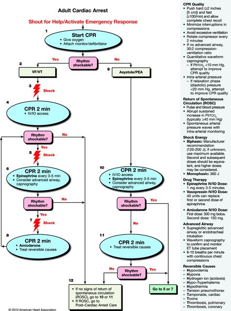 acls alogorhythm; pulseless vt or vf Pals Algorithm, Acls Algorithm, Membran Sel, Cardiopulmonary Resuscitation, Critical Care Nursing, Emergency Nursing, Nursing Tips, Life Support, Emergency Medicine