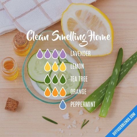 Lilin Aroma, Essential Oil Diffuser Blends Recipes, Essential Oil Remedy, Young Living Essential Oils Recipes, Essential Oil Diffuser Recipes, Oil Diffuser Recipes, Yl Essential Oils, Essential Oil Mixes, Essential Oil Blends Recipes