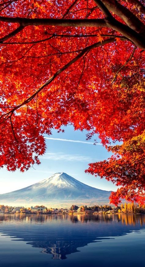 Japan Travel Photography, Passport Pictures, Japan Landscape, About Japan, Landscape Photography Nature, Japan Culture, Kyushu, Red Leaves, Amazing Views