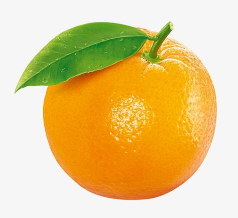 orange clipart,fruit clipart,orange,fruit All Fruits Images, Orange Images, Image Orange, Orange Drawing, Orange Clipart, Fruits Clipart, Fruit Images, Png Fruit, Oranges Fruit