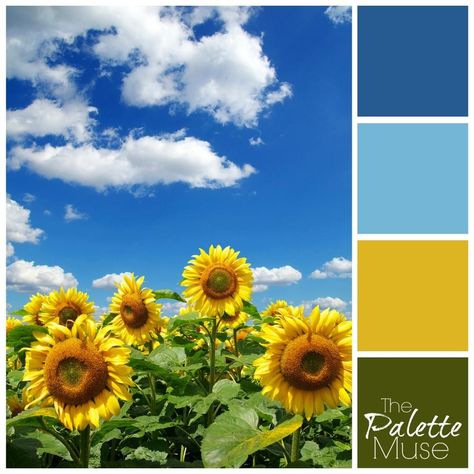 Color Palette Sunflower, Sunflower Palette, Homey Touches, Navy Color Palette, Sunflower Season, Yellow Color Palette, Palettes Color, The Last Leaf, Pastel Color Palette