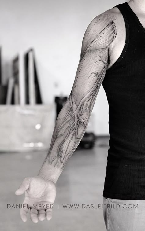 Anatomy Arm tattoo Anatomical Hand Tattoo, Bone Forearm Tattoo, Anatomical Tattoo Sleeve, Body Anatomy Tattoo, Human Anatomy Tattoo Sleeve, Skeleton Anatomy Tattoo, Small Anatomy Tattoos, Anatomical Tattoo Human Anatomy, Anatomy Sleeve Tattoo